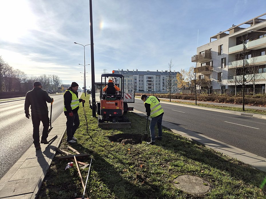 Bemowo si zazielenia. Kolejne drzewa pojawi si przy ulicy Lazurowej